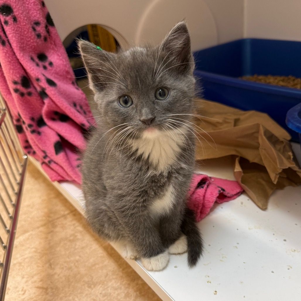 Hello my name is Ivanova