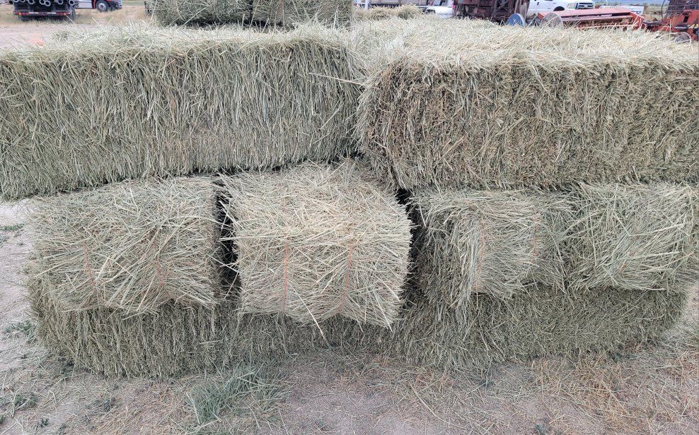Grass/Alfalfa Mix Small Bales