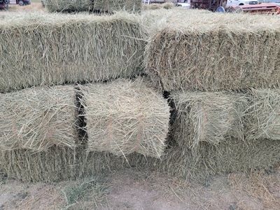 Grass/Alfalfa Mix Small Bales