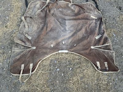 Winter Blankets