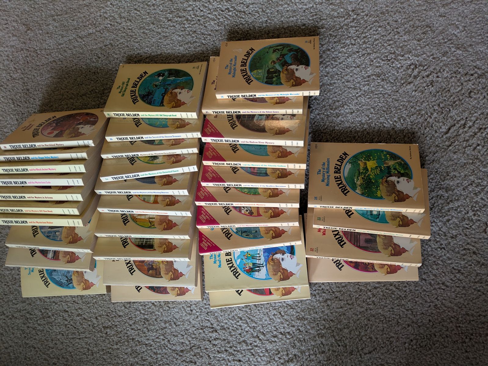 Trixie Beldon books