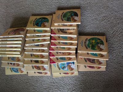 Trixie Beldon books