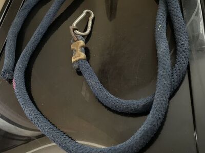 Free Blue Lead Rope