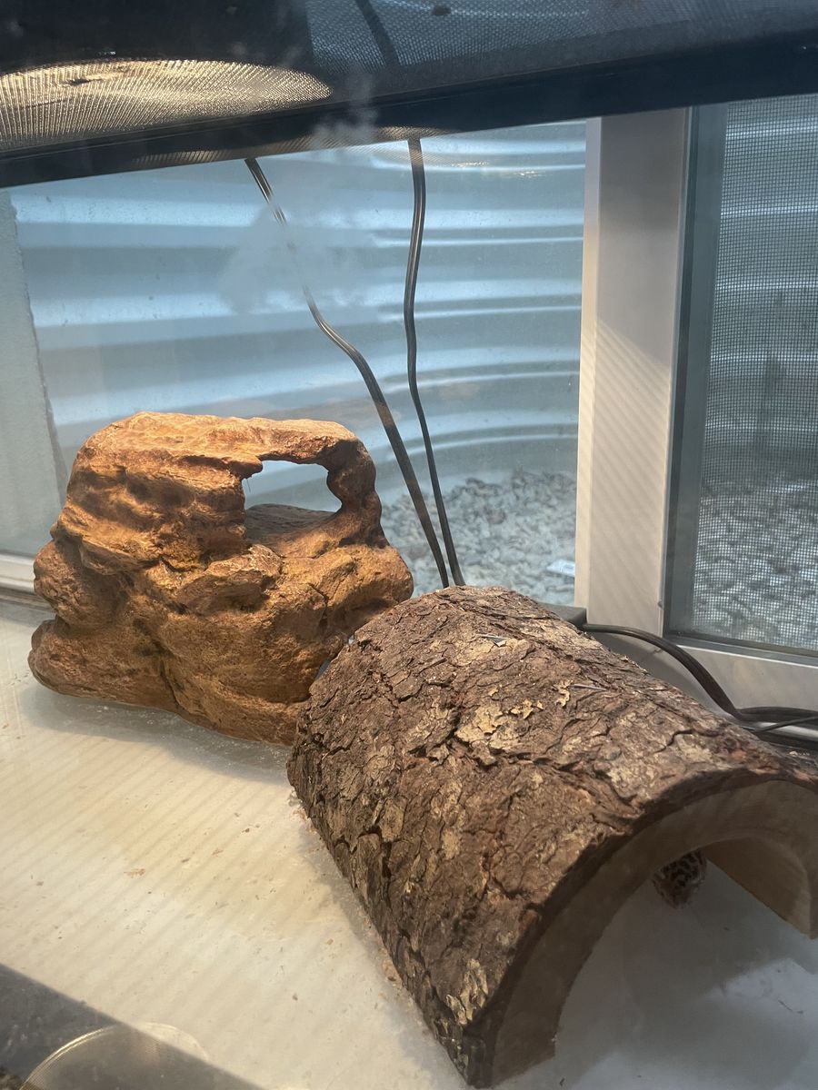 Gecko encloser