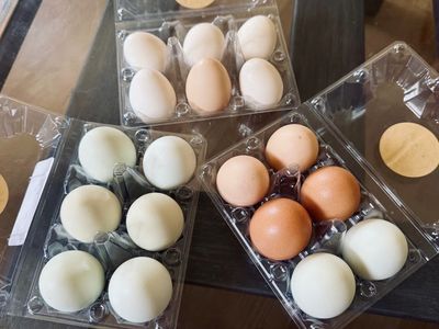 Fresh Organic Eggs from happy chickens
