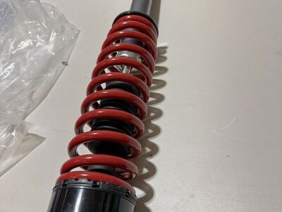 Strut Shock Assembly