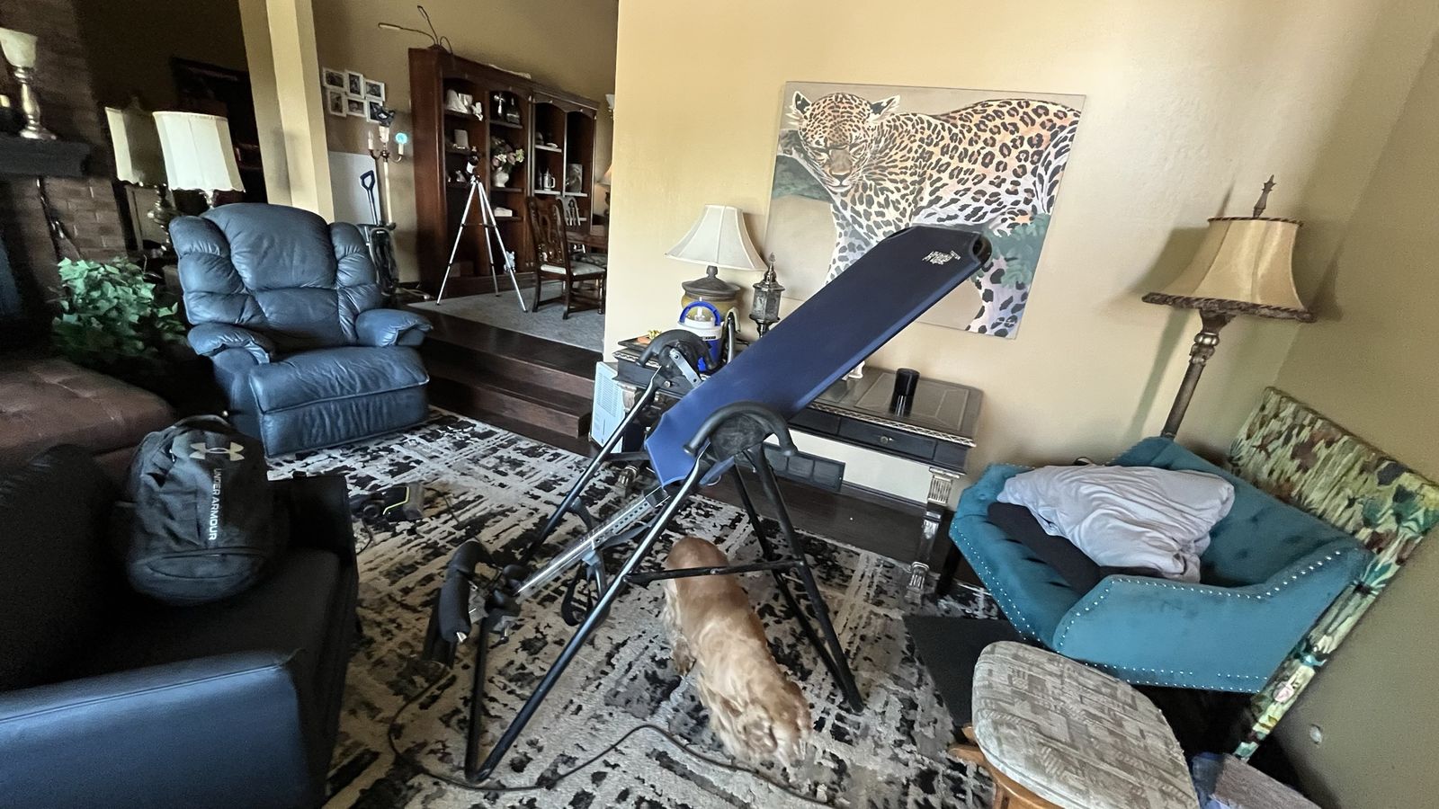 Teeter Hang Ups Inversion Table - Blue & Black Fitness Equipment