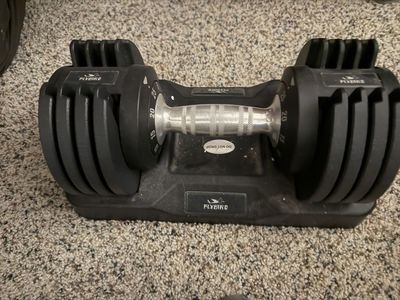 Adjustable 25 lb weight