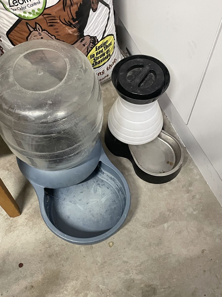 Pet waterer and feeder