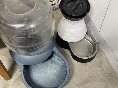 Pet waterer and feeder