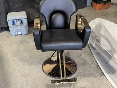 Barber - Salon Chair