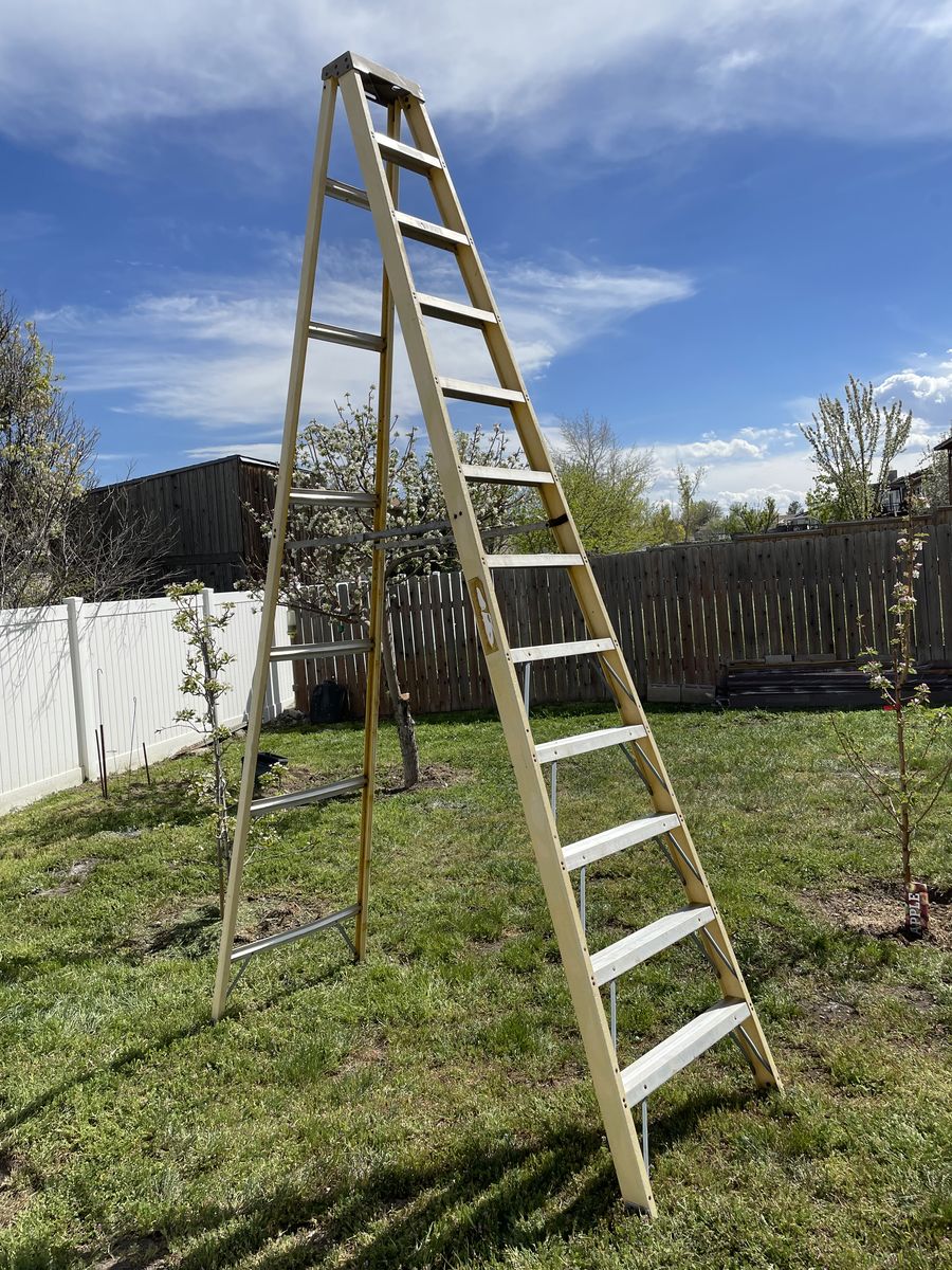 12' Fiberglass Ladder