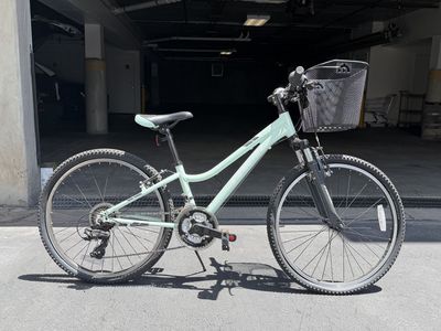 TREK Clarity 24" Kids Hybrid Bike - Mint Green, Front Basket, 7-Speed