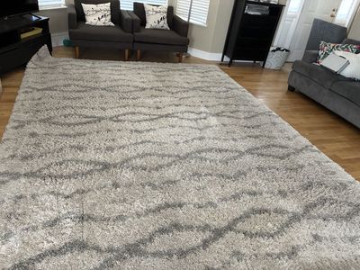 9'2" x 12’ Shag Area Rug.