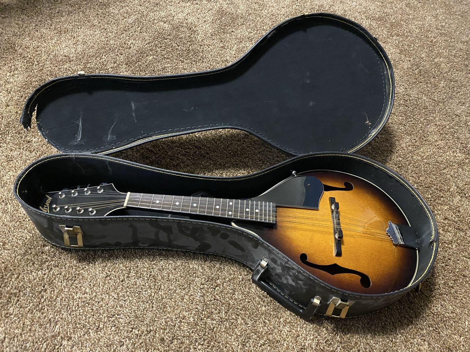 Mandolin w/ Case