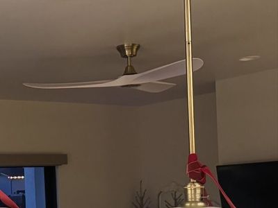 Ceiling fan