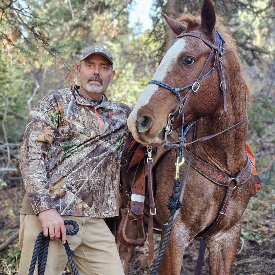 Quarter Horse