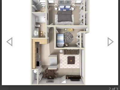 Roommate