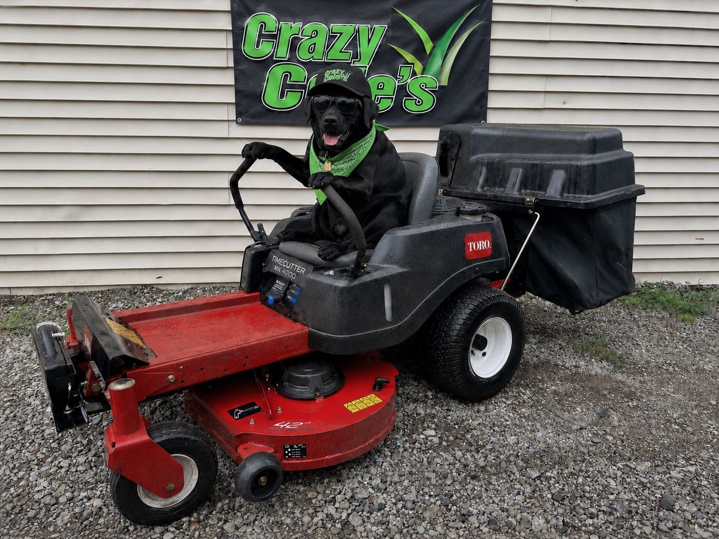 Zero Turn Lawn Mower. Toro Time Saver. MX4200. 42 inch deck. For Rent. We are easy let’s discuss your needs. Pick up or delivery