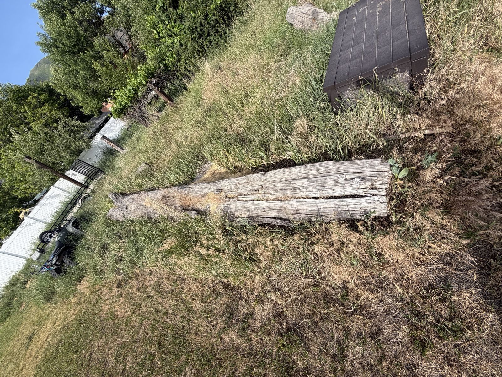 Free fire wood