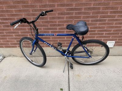 Giant Iguana Mountain Bike Blue Hardtail