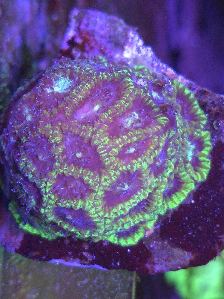 Main image 4