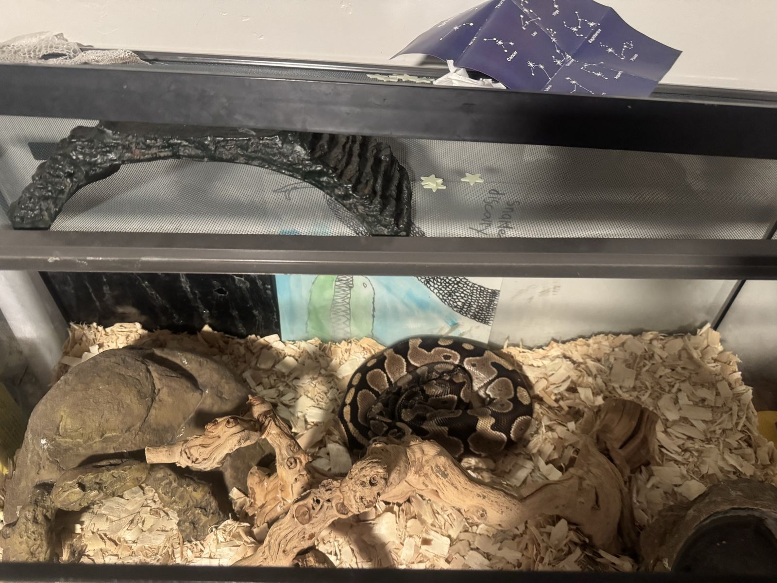 Python/tank/supplie