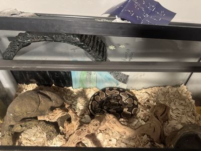 Python/tank/supplie