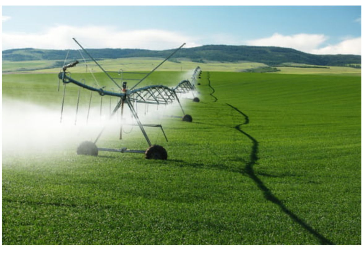 Pleasant Grove Irrigation Water Share - 1 Full Share Available