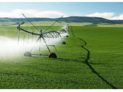Pleasant Grove Irrigation Water Share - 1 Full Share Available