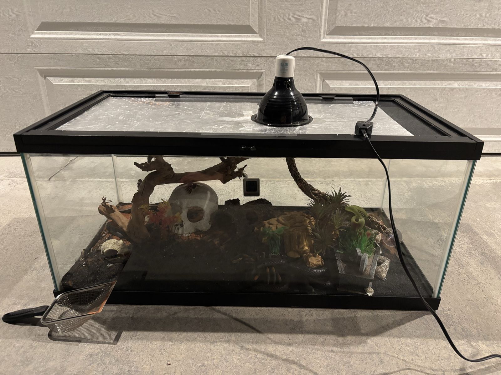 40-Gallon Desert Reptile Setup – Ready to Use!