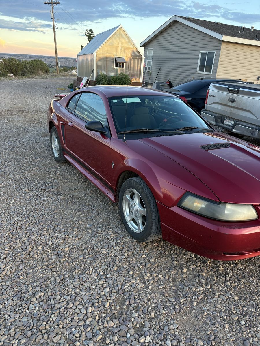 2002 Ford Mustang 
