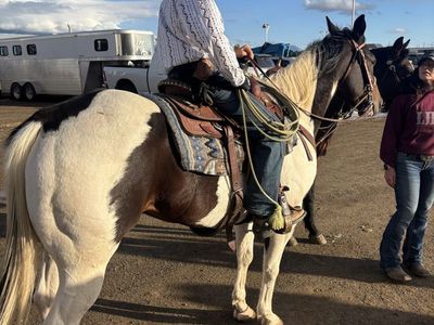 SAFE! Jr. Rodeo Heel horse