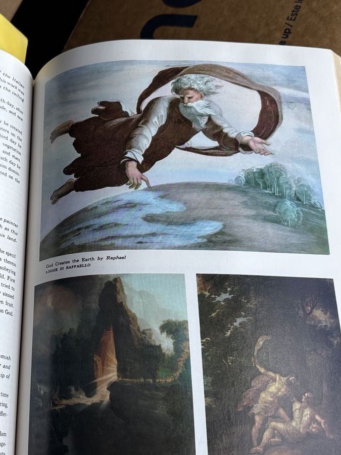 Main image 7