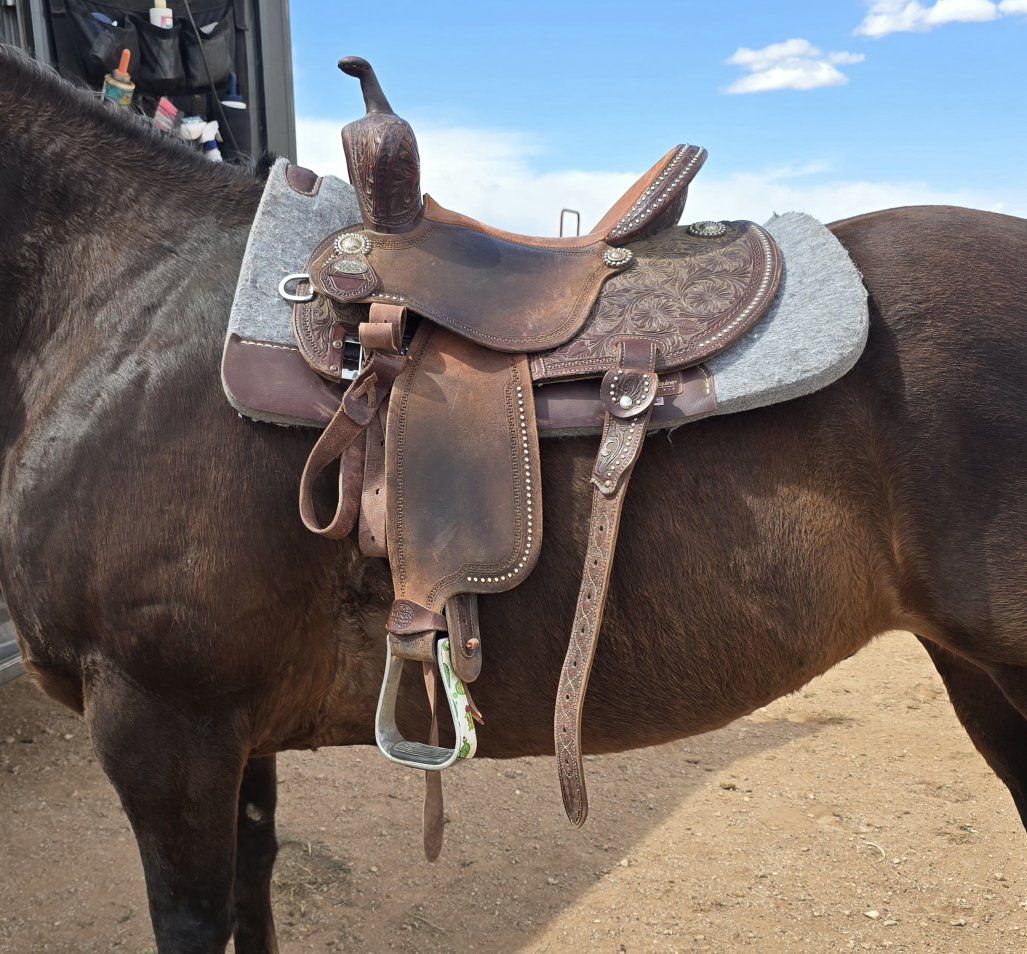 Martin barrel saddle