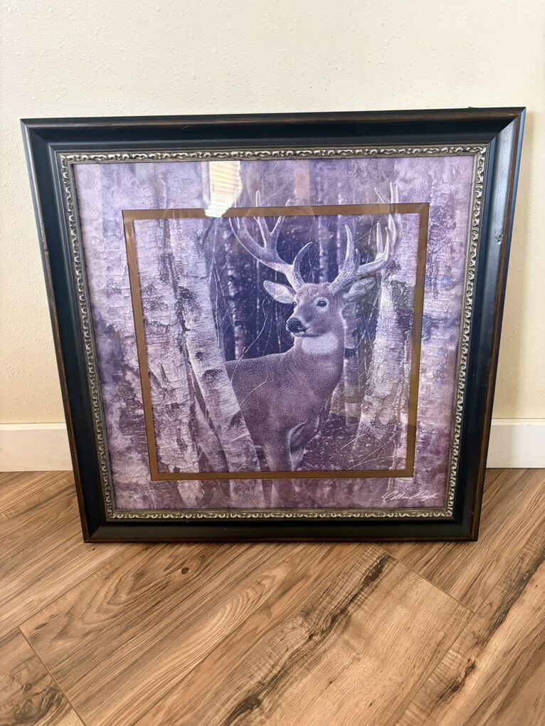 Wildlife Buck Deer Picture