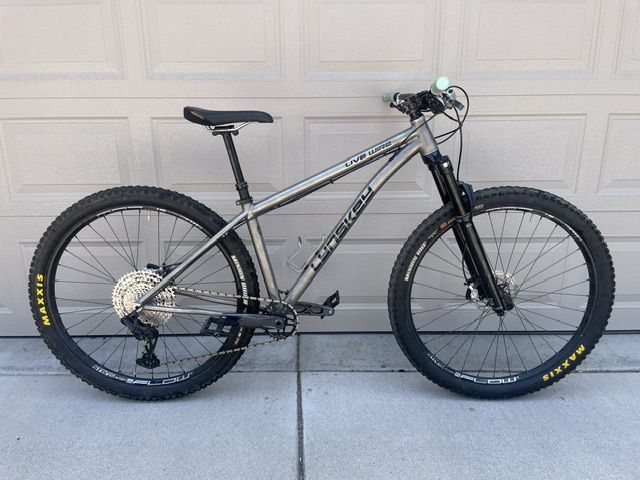 Titanium Lynskey Livewire 29er (Small)