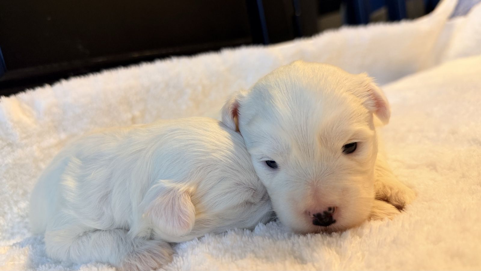 Main image 8