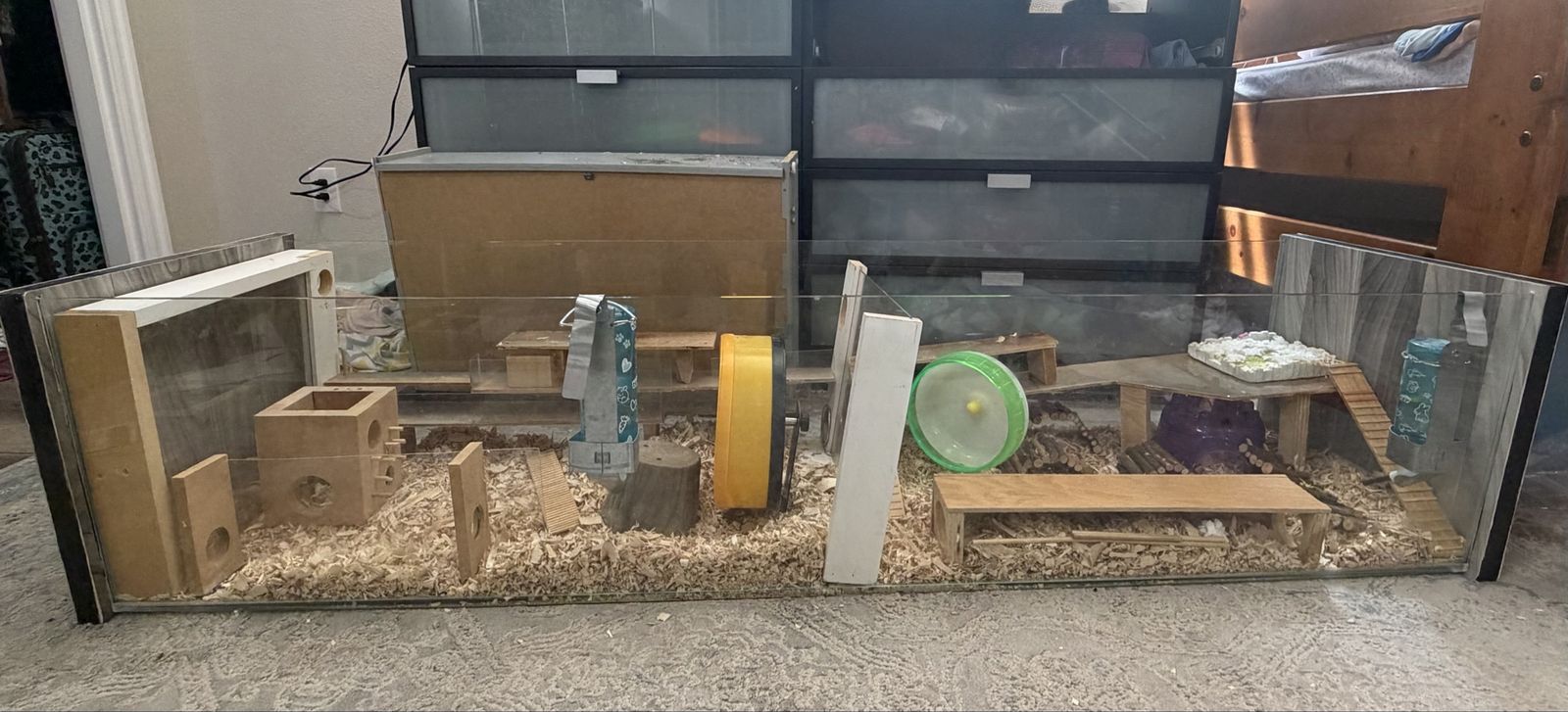 Hamster supplies
