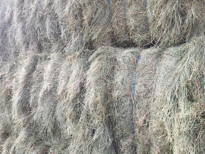 3x3x8 grass hay