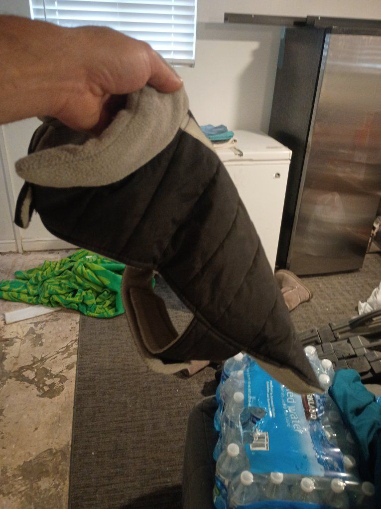 dog vest
