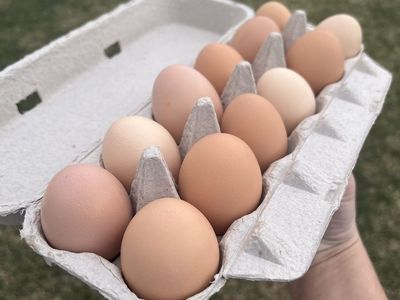Farm fresh Eggs