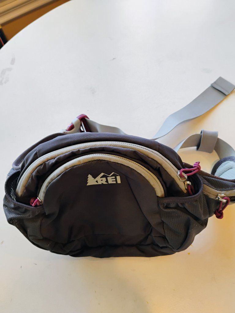 REI Co-op Grey and Purple Hiking Lumbar Pack Waist Bag Fanny Pack