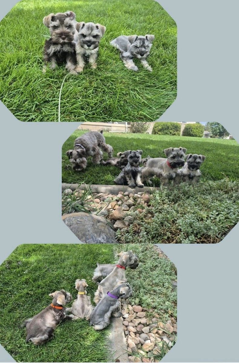 Main image 2