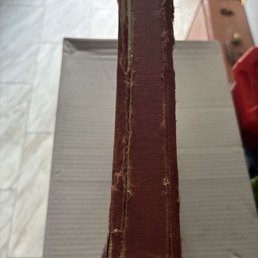 Main image 8