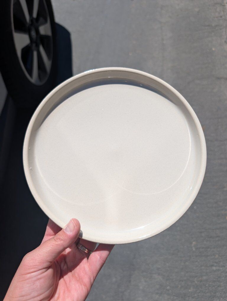 West elm salad plates REDUCED