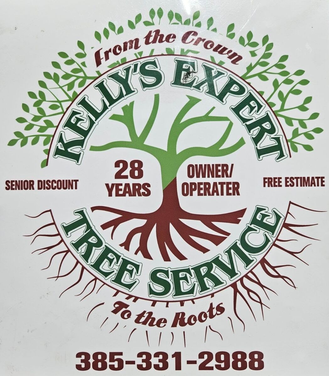 Tree Trimming | Tree Removal | Xeriscaping | Landscaping Work | And More!
