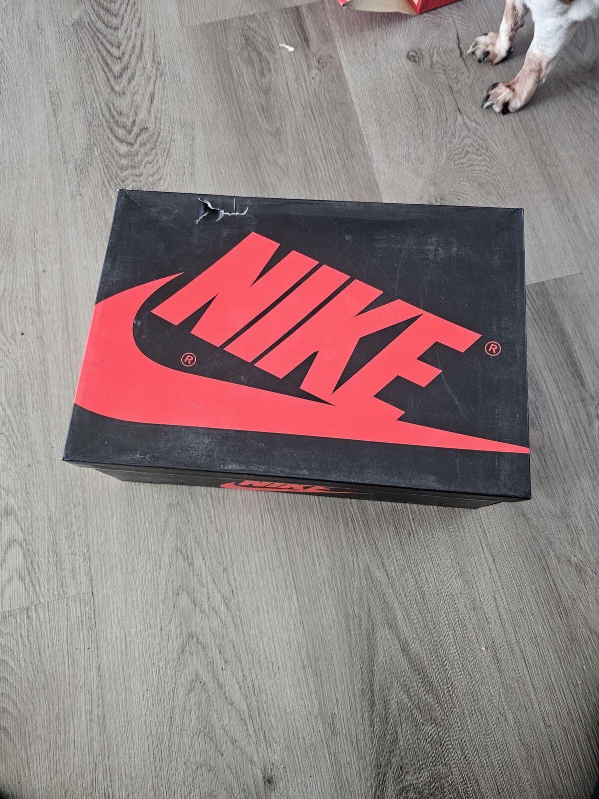 Jordan 1 bordeaux vnds 10.5m