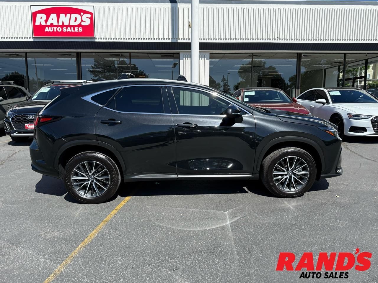 2025 Lexus NX 350h Base