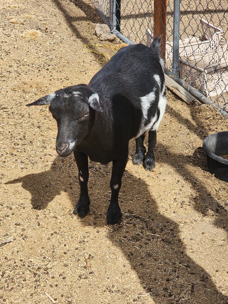 Main image 4